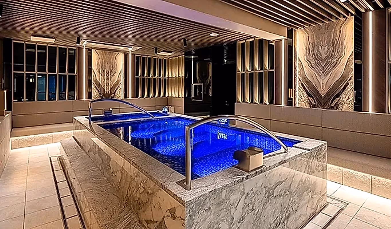 About LEDIAN SPA